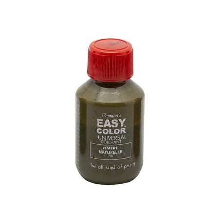 EASY COLOR COLORANT Raw Umber 100 ML
